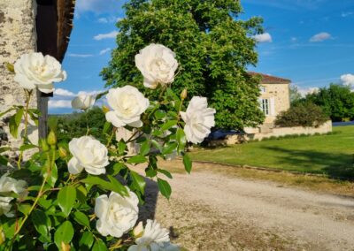La Maison aux Cyprès à Monsempron-Libos